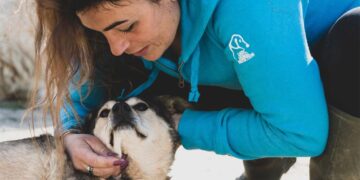 Cane trovato morto legato agli scogli di Torino di Sangro, l’appello di Lndc Animal Protection