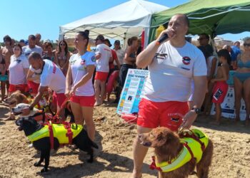 I cani da salvataggio entrano in azione: simulazioni in mare davanti ai bagnanti