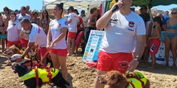 I cani da salvataggio entrano in azione: simulazioni in mare davanti ai bagnanti