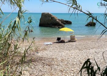Litorale di Canale, due richieste per ricostruire un trabocco scomparso