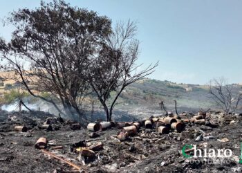 Rifiuti bruciati a Cupello, Di Florio: «Discarica bonificata e chiusa, ma ci sono abbandoni abusivi»