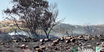 Rifiuti bruciati a Cupello, Di Florio: «Discarica bonificata e chiusa, ma ci sono abbandoni abusivi»