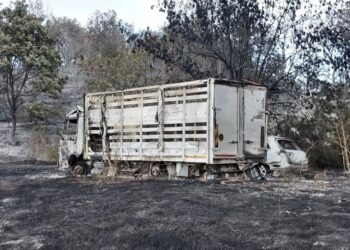 Incendi, non si vede la fine: la pioggia non ha spento tutti i focolai
