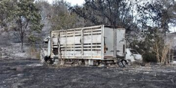 Incendi, non si vede la fine: la pioggia non ha spento tutti i focolai